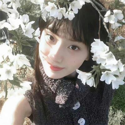 猫妖小杏