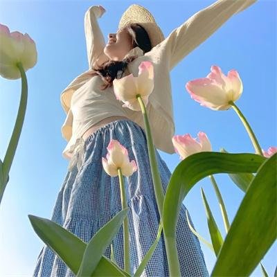 动画人生